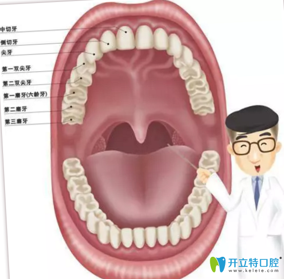 菏澤美爾口腔告訴你30歲還能矯正牙齒嗎？需要注意些什么？