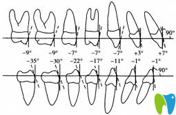 牙齒唇向傾斜、舌向傾斜范圍