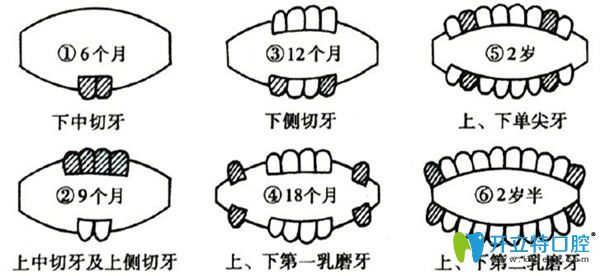 側切牙缺失怎么辦，有什么影響？