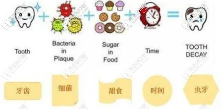 非酸性的食物也會酸蝕牙齒