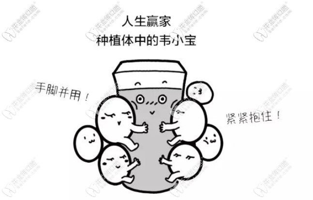 美國zimmer種植體優(yōu)勢(shì)多多