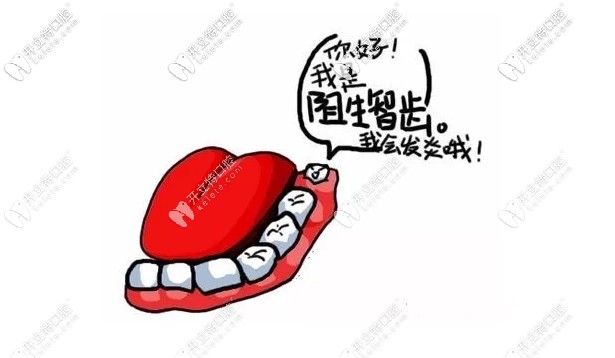 立世牙到底拔還是不拔