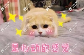 沒有領(lǐng)到獎(jiǎng)怎么辦