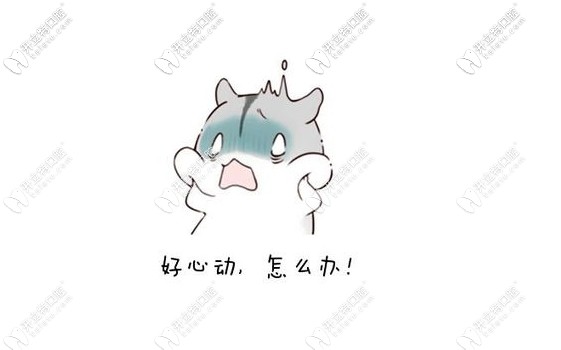 美奧口腔其它優(yōu)惠