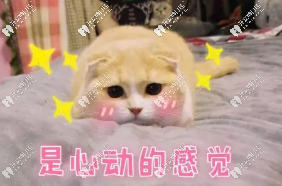 號(hào)外!重慶隱形牙套矯正價(jià)格更新了,快來(lái)貼上這波暑假福利