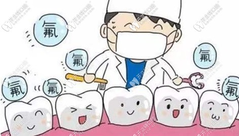 恒牙萌出就可以涂氟