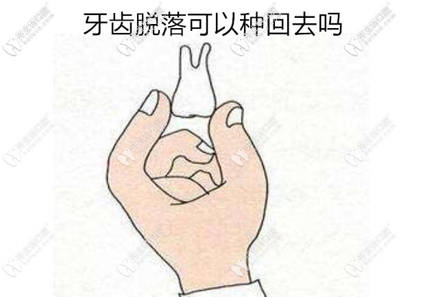 我想對你說：這樣處理脫落的牙齒是可以種回去的哦！