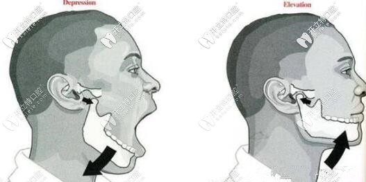 顳下頜關(guān)節(jié)