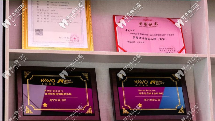所獲得的榮譽