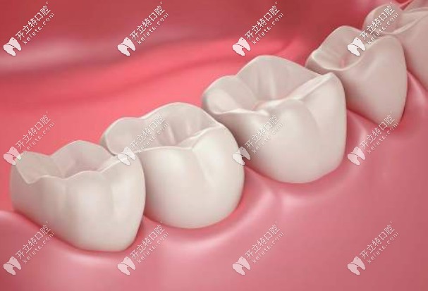 國產(chǎn)的滬鴿美晶瓷和瓷倍健哪個(gè)好？價(jià)格各是多少？