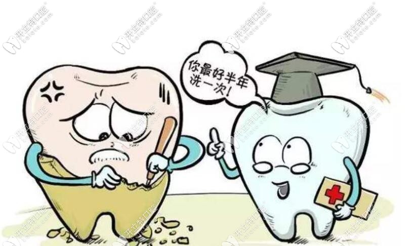 保護牙齒的辦法是半年要洗牙一次哦