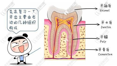葉宏醫(yī)生的擅長項目