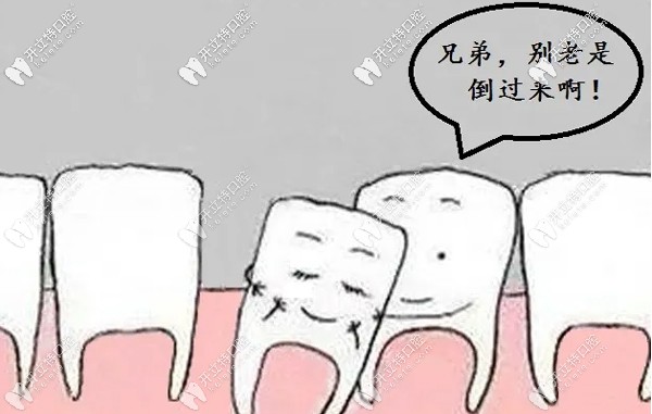 牙齒松動(dòng)了如何處理