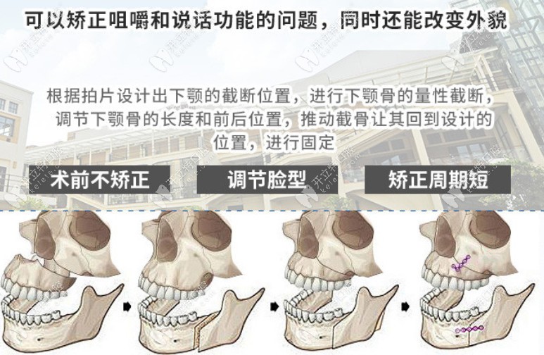 <!--<i data=20240703-sp></i>-->首爾麗格