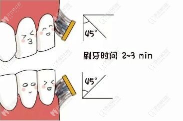 正確的刷牙方法及角度 正確的刷牙方法及角度