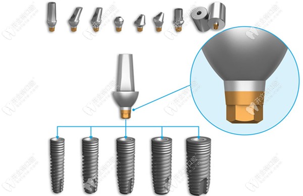 種植平臺(tái)適用于五種不同的種植口徑
