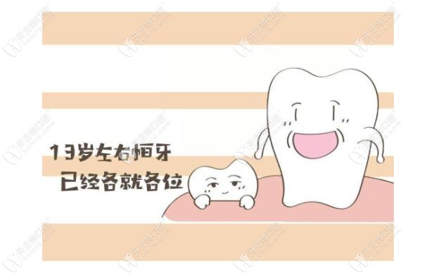 13歲的兒童恒壓就長(zhǎng)出來(lái)了